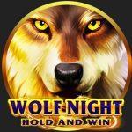 recensione slot Wolf Night