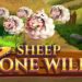 recensione slot Sheep Gone Wild