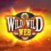 slot Wild Wild Web