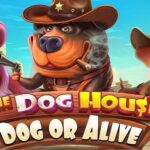 slot The Dog House - Dog or Alive